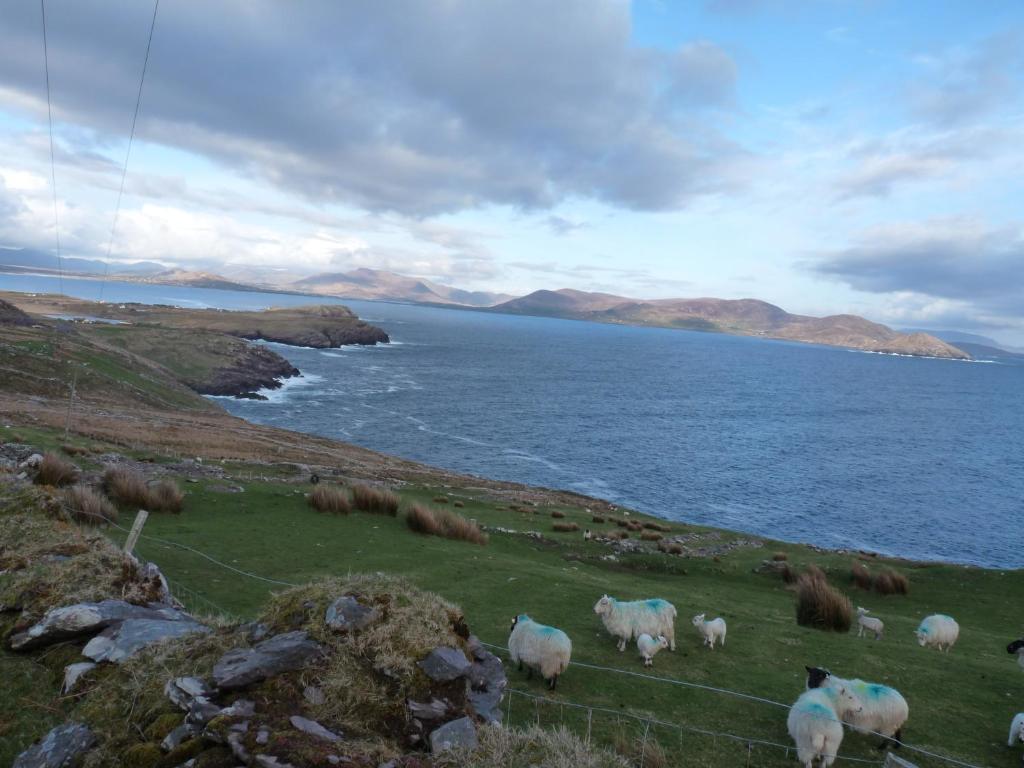 Skellig Cottages Ballinskelligs Bagian luar foto